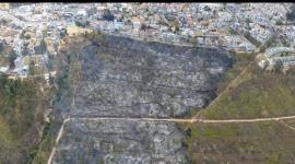 Cientos de hectáreas de bosque y vegetación se han destruido con los incendios forestales registrados en 2026, en Quito.