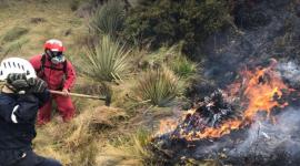 Cinco incendios forestales siguen activos en Ecuador: Conozca las provincias afectadas