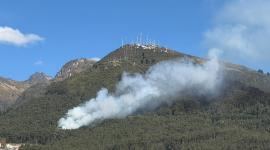El Cuerpo de Bomberos indicó que su personal se encuentra desplegado en el sector para impedir que las llamas se extiendan.