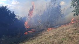A corte de este sábado 19 de septiembre, aún continúan varios puntos de incendio en el sector de Casitagua.