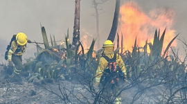 Pabel Muñoz confirmó que incendios en el cerro Casitagua se mantiene activo la noche de este domingo 20 de septiembre.