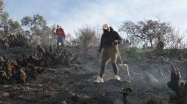 Ciudadanos ayudaron a apagar el incendio forestal en el cerro Casitagua.