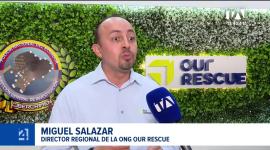 El informe destaca que plataformas como Facebook y WhatsApp concentran la mayor cantidad de reportes sobre comercialización de material ilícito.

Un reportaje de María Fernanda Utreras