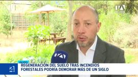 Expertos señalan que la recuperación del terreno calcinado dependerá del tipo de suelo y de lluvias moderadas que eviten la erosión de las zonas devastadas.  Un reportaje de Mishell Villacís