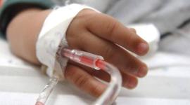 Niño de cuatro años fallece tras sufrir tres picaduras de alacrán en Morona Santiago. Su madre denuncia que la causa del deceso fue la falta de atención.