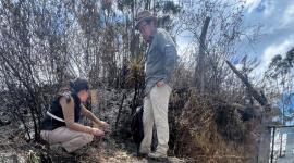 Técnicos del IMP analizan los vestigios arqueológicos hallados tras el incendio en el Casitagua.