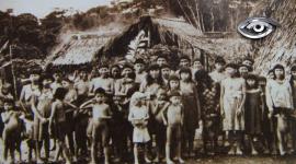 En 2013, dos niñas taromenane sobrevivieron a un ataque que dejó más de treinta muertos en la Amazonía ecuatoriana. Su historia permite conocer la realidad de los pueblos en aislamiento y las amenazas que enfrentan. ¿Qué pasó con ellas y qué ha ocurrido con las medidas para proteger sus derechos?