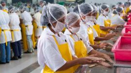 El comercio y la manufactura contribuyeron al crecimiento de la economía en Ecuador.