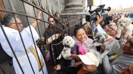 La iglesia de San Francisco realizará este 3 de octubre una jornada de bendición para perros, gatos y otras mascotas.