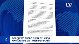 Los abogados de los técnicos sostienen que los argumentos utilizados para dictaminar la abstención de Goncalvez aplican a sus clientes. Un reportaje de Fausto Yépez