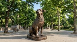 Las autoridades colocarán un monumento para rendir homenaje al perro comunitario Max