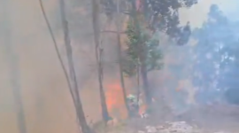 La Secretaría Nacional de Gestión de Riesgos informó que Ecuador registra seis incendios forestales activos en cuatro provincias la noche de este 29 de septiembre.