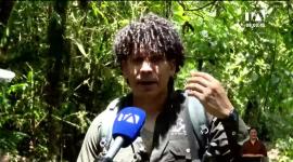 La iniciativa de la Fundación Maquipucuna permite estudiar rutas de desplazamiento, hábitos alimenticios y amenazas de las especies endémicas de la zona. Un reportaje de Nathalie Jiménez
