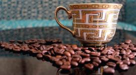El café ecuatoriano mueve millones en exportaciones y sostiene una cadena en la que el 85% de la mano de obra cafetalera es familiar.