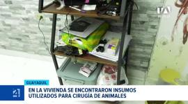 Autoridades rescataron a varias mascotas durante el operativo de control e instaron a la ciudadanía a denunciar establecimientos que operen de forma irregular. Un reportaje de Camila Guevara