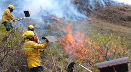 Un incendio forestal de ás de 36 horas se registra en uno de los principales caminos que conducen a Machu Picchu, en Perú.