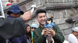 Decenas de personas llegaron a la plaza de San Francisco, en el centro de Quito para participar de la bendición de los animales.