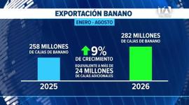 La industria de exportación aporta más de un dólar en impuestos por cada caja enviada al exterior y busca prolongar la vigencia del marco legal que vence en diciembre. Un reportaje de Bernarda Cevallos