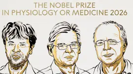 Karl Deisseroth, Peter Hegemann y Georg Nagel ganaron el Nobel de Medicina 2026 por investigaciones que permitieron controlar circuitos neuronales mediante luz.