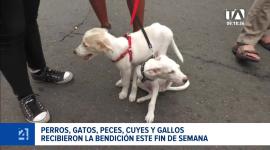 En el marco de la festividad de San Francisco de Asís, templos y espacios comunitarios de ambas ciudades acogieron ceremonias religiosas dirigidas a los animales de compañía. Un reportaje de Camila Guevara