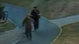 Cámaras captaron el momento en que un sospechoso agredió a una mujer para robarle sus pertenencias en un parque de Cuenca.