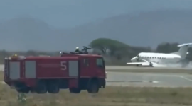 Avioneta choca contra una cebra en el Serengeti y aterriza de emergencia sobre su fuselaje