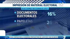 El organismo electoral registra más de 4 mil alertas por precampaña y reporta un avance del 26% en la impresión de las papeletas oficiales. Un reportaje de Lucía Clavijo
