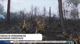 Pese a las lluvias registradas a nivel nacional, los organismos de socorro combaten los siniestros en el sur del país, mientras que en Cotopaxi un incendio logró ser controlado. Un reportaje de Stephany Paz