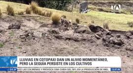 Comuneros de Archipamba enfrentan severas pérdidas en su producción agrícola y problemas para alimentar a sus animales debido al deterioro de los páramos, poniendo en riesgo el sustento familiar. Un reportaje de Juan Pablo Toro