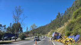 Tráiler cargado con cervezas se estrella contra un poste en la avenida Simón Bolívar, en Quito