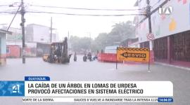 Las intensas lluvias también provocaron caídas de árboles y postes, además de varios accidentes de tránsito en diferentes sectores de la ciudad. Un reportaje de Ricardo Cruzatty