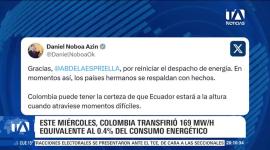 Una resolución expedida en agosto por las autoridades colombianas limita las fuentes de generación que pueden destinarse a la exportación de energía. Un reportaje de