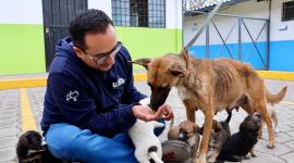 UBA rescató a una perrita y sus siete cachorros en Quito.