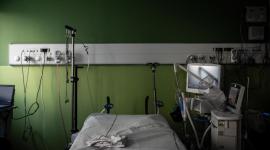 El virus shamonda circulaba desde hace décadas en África y Asia y hasta ahora se consideraba no transmisible a los seres humanos.