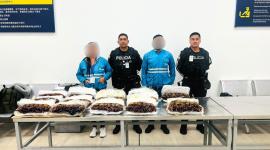 La Policía Nacional decomisó 199 cangrejos rojos que pretendían ser exportados desde el aeropuerto Mariscal Sucre, en Quito.
