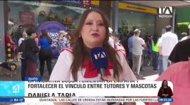 La Unidad de Bienestar Animal (UBA) llevó a cabo el evento "Ubaween", una jornada festiva que reunió a tutores y animales de compañía en un divertido concurso de disfraces. De forma paralela, la institución impulsó una feria de adopción responsable para brindar un nuevo hogar a perros y gatos rescatados. Un reporte de Nathalie Jiménez.