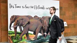 Un participante asiste a la COP 17