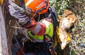 Rocky, quedó atrapado a 40 metros de profundidad en una quebrada de Quito.