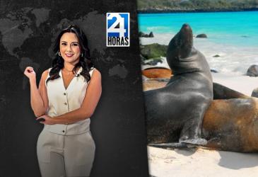 Revise las noticias más destacadas del Ecuador en nuestro Noticiero 24 Horas Emisión Central del domingo 15 de junio del 2025.