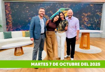 Mira el capítulo de esTAmañana del martes 7 de octubre del 2025. Una revista diferente y entretenido, con contenido de calidad. De lunes a viernes, de 09:30 a 12:00, por Teleamazonas.