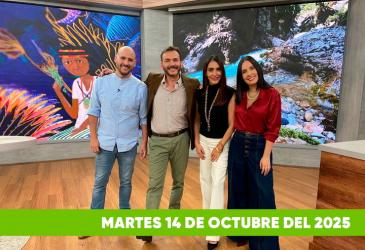 Mira el capítulo de esTAmañana del martes 14 de octubre del 2025. Una revista diferente y entretenido, con contenido de calidad. De lunes a viernes, de 09:30 a 12:00, por Teleamazonas