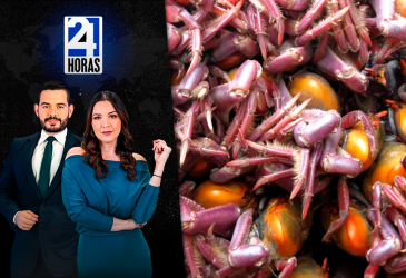 Revise las noticias más destacadas de Guayaquil en nuestro Noticiero 24 Horas Tercera Emisión de este martes 13 de enero del 2026. Con Valerie Villalva y Bernarda Cevallos