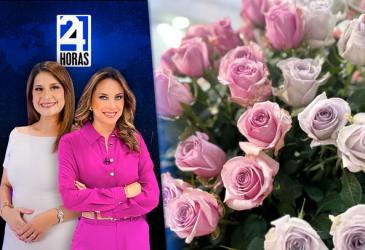 Revise las noticias más destacadas del Ecuador en nuestro Noticiero 24 Horas Emisión Central de este miércoles 21 de enero del 2026. Con Gabriela Galárraga y Liz Valarezo. Energía