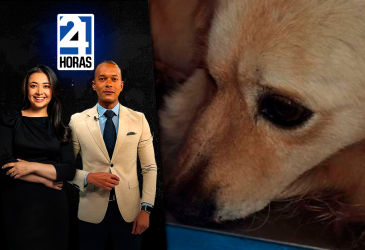 Revise las noticias más destacadas de Quito en la Primera Emisión del Noticiero 24 Horas de este viernes 17 de abril del 2026. Andrea Samaniego  y Juan Miguel Rodríguez.