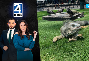 Revise las noticias más destacadas de Guayaquil en la Emisión Central del Noticiero 24 Horas de este jueves 20 de agosto del 2026. Con Carlos Sacoto y Valerie Villalva.