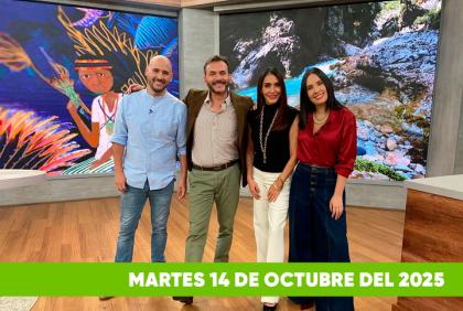 Mira el capítulo de esTAmañana del martes 14 de octubre del 2025. Una revista diferente y entretenido, con contenido de calidad. De lunes a viernes, de 09:30 a 12:00, por Teleamazonas