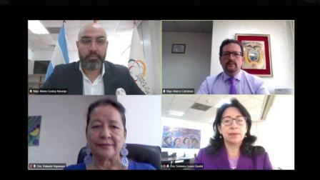 Pleno del Consejo de la Judicatura en sesión virtual este 17 de junio del 2025