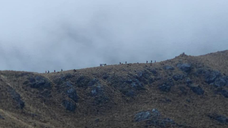 Bomberos de Cuenca buscan a dos personas desaparecidas en El Cajas.