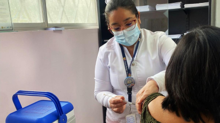 Decenas de países han emprendido campañas de vacunación contra la influenza.