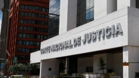 Los jueces piden analizar la permanencia de Suing en la presidencia del organismo.